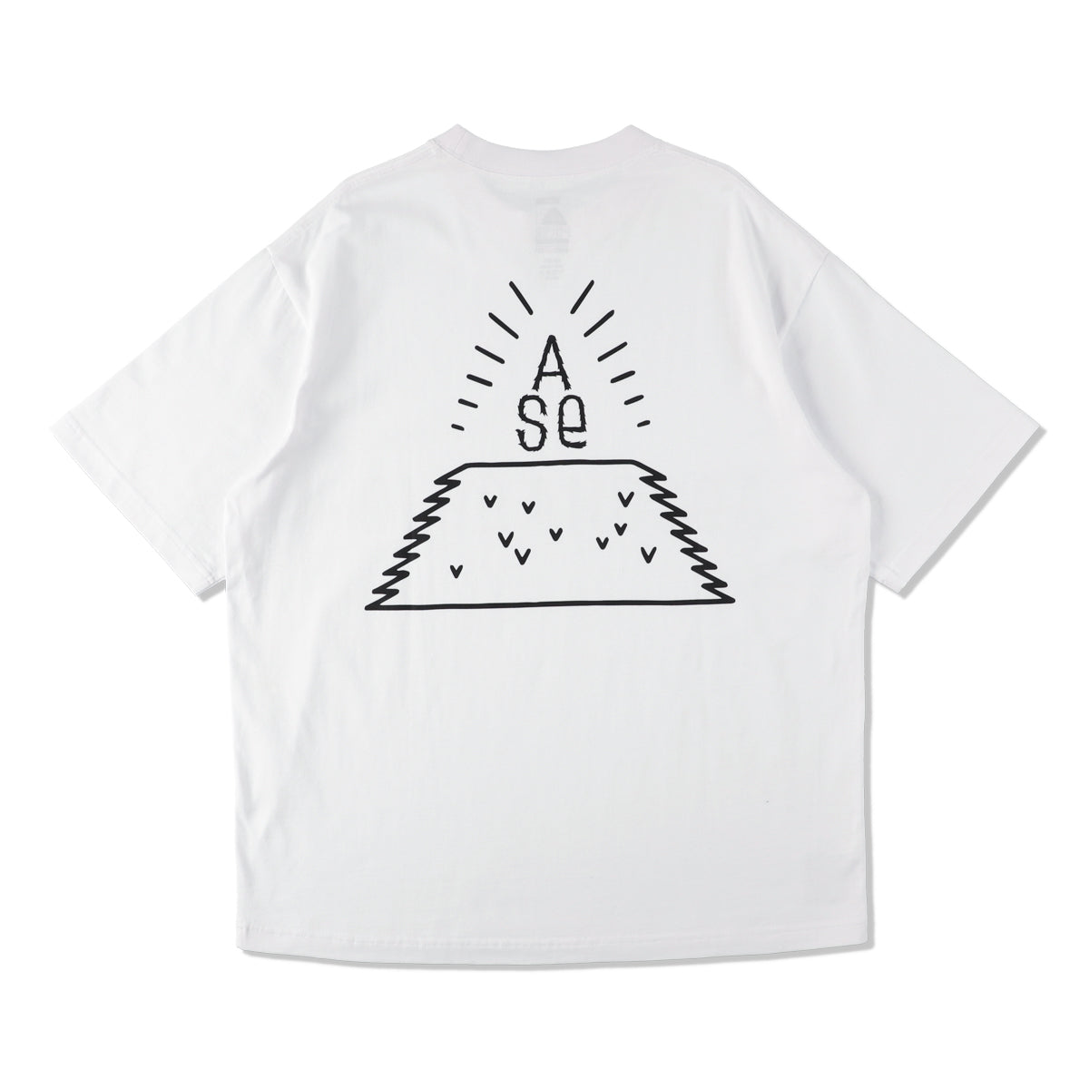 WDS-C-PLR-TEE3