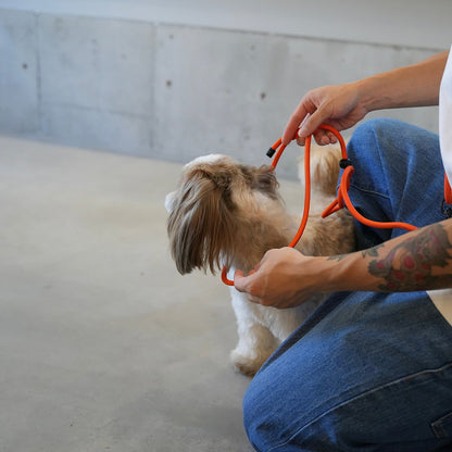 2WAY SHOULDER LEASH