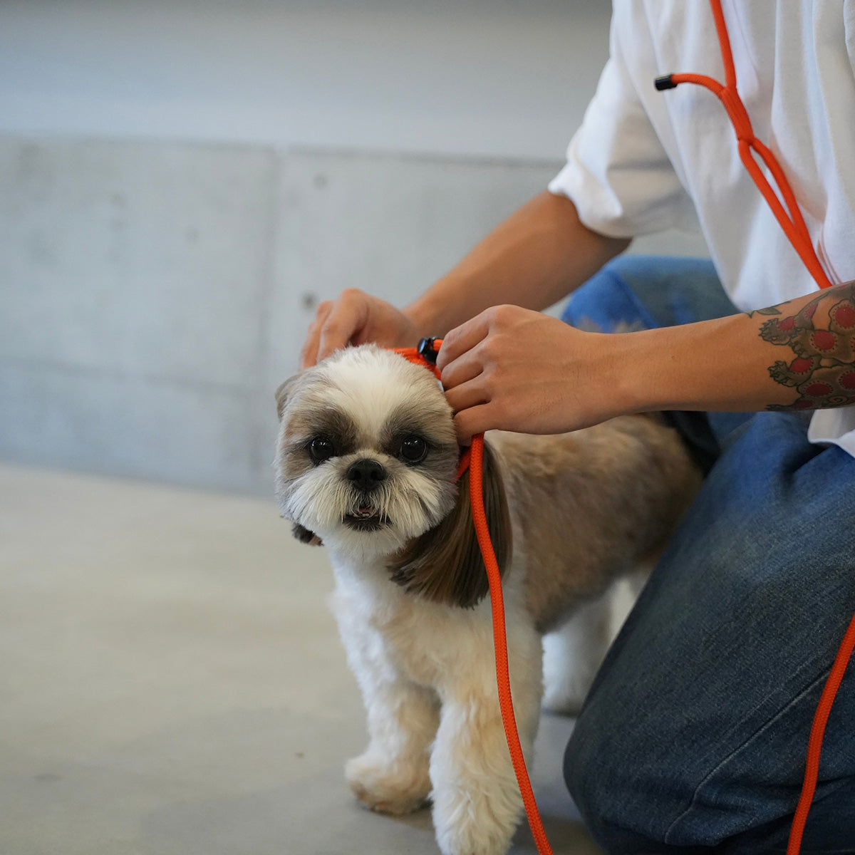 2WAY SHOULDER LEASH