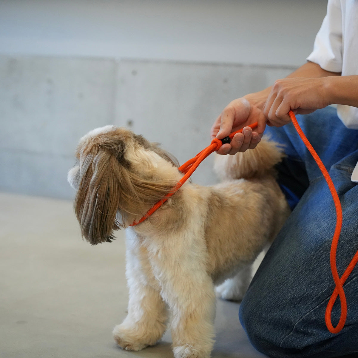 2WAY SHOULDER LEASH